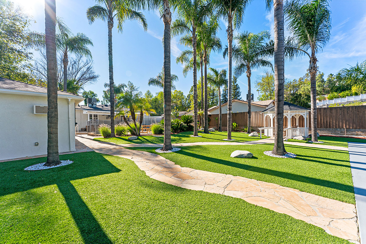 Backyard lawn with a stone pathway leading past palm trees toward a white gazebo